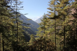 Pine Panch Pokhari Trek Trekking Hike Hiking Nepal