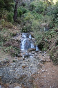 Ghorepani Poon Hill Trek trekking hike hiking nepal forest stream
