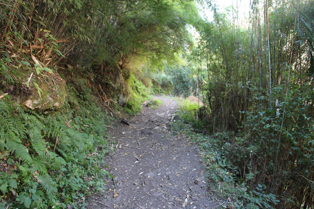 Ghorepani Poon Hill Trek trekking hike hiking nepal bamboo