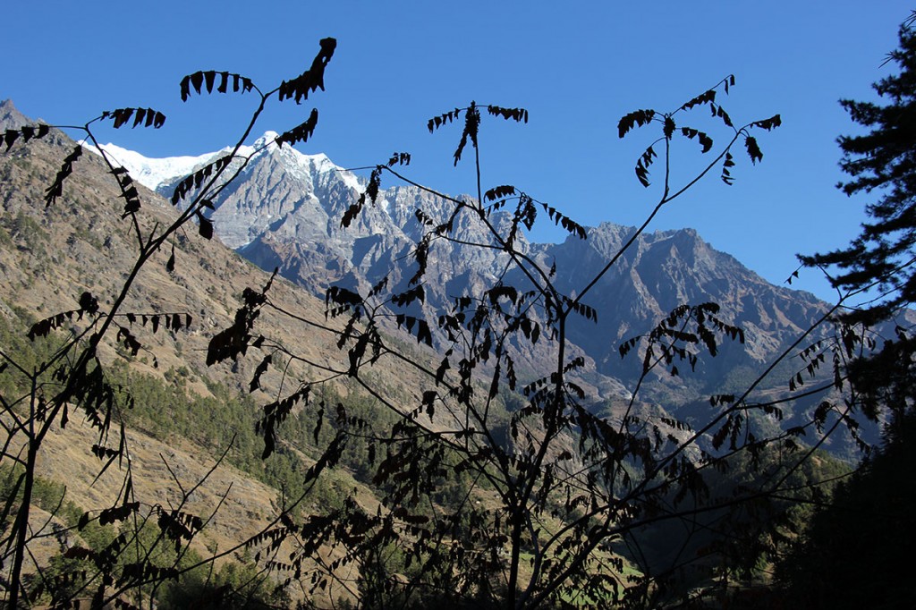Ghorepani Poon Hill Trek trekking hike hiking nepal