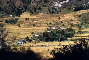 Ghandruk Trek trekking hike hiking nepal terraces