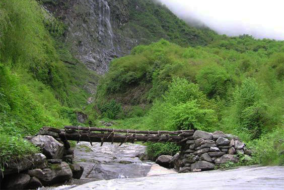 Log Bridge Annapurna Base Camp Trek ABC Sanctuary Trekking Hike Hiking Nepal