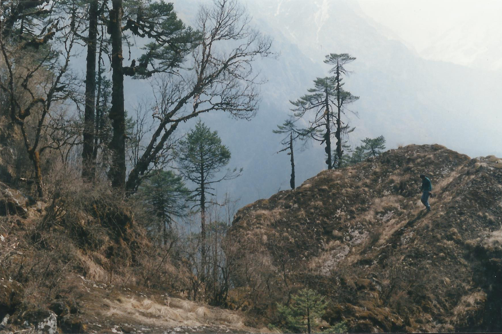 Trekker Helambu Valley Trek trekking hike hiking nepal
