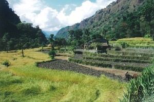 Ploughman Helambu Valley Trek trekking hike hiking nepal