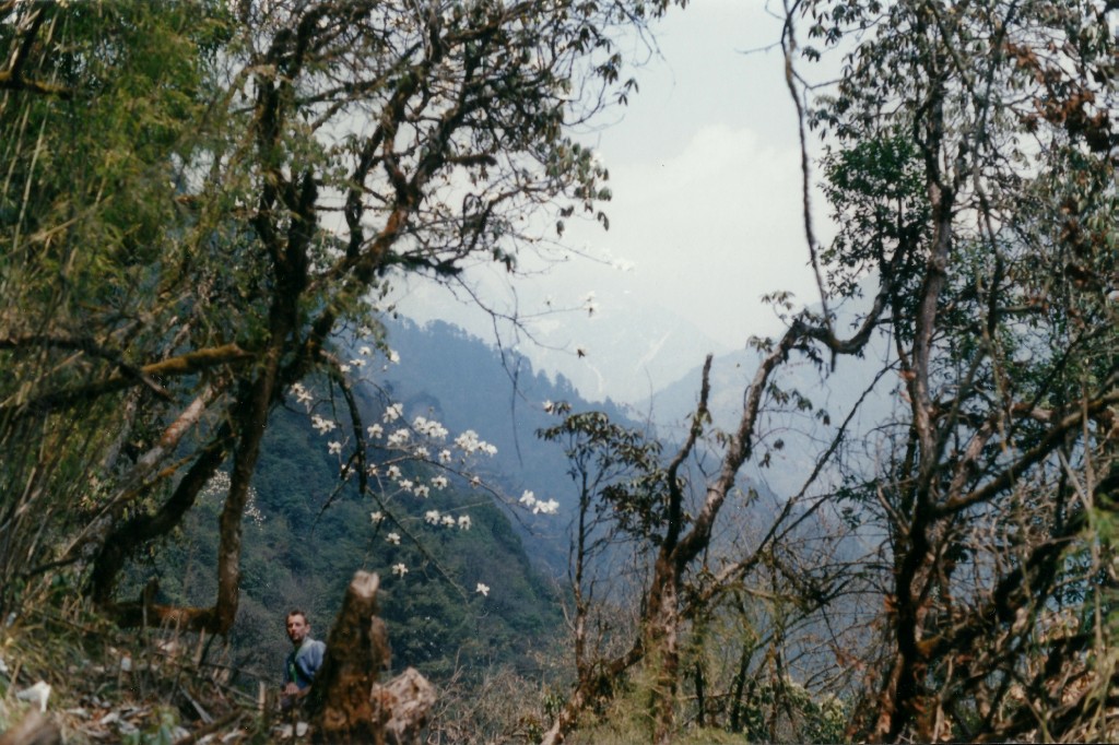 Tamang Heritage Trail Trek trekking hike hiking nepal
